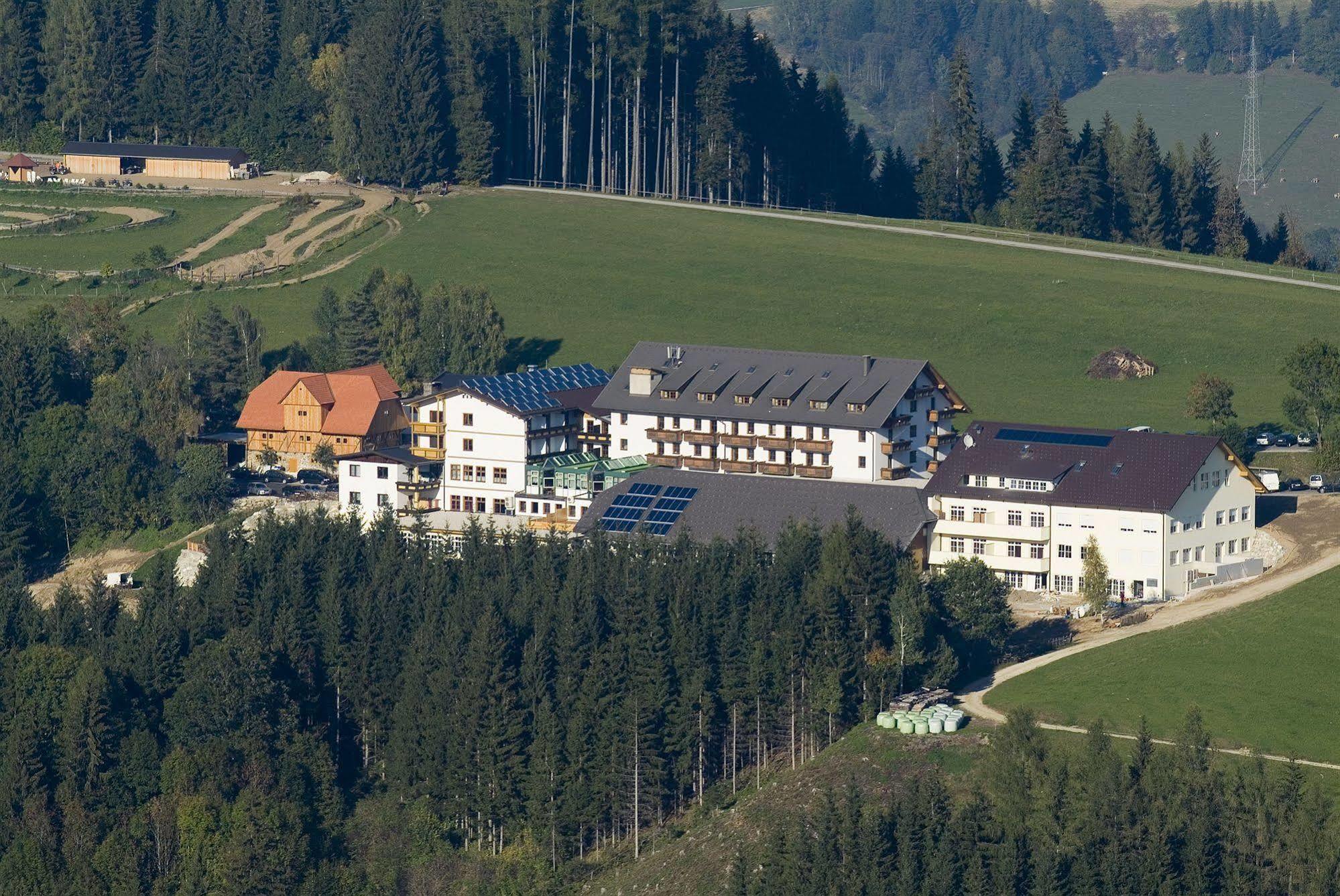 Hotel Moselebauer บาด ซังค์ เลออนฮาร์ด อิม ลาวานท์ทาล ภายนอก รูปภาพ